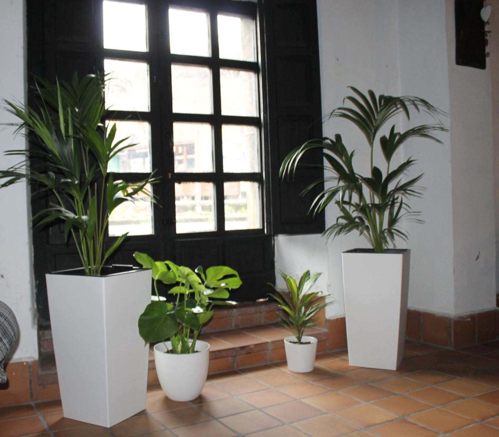 Villa La Casona Del Xerron à El Condado Extérieur photo